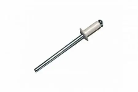 Заклепка алюм/сталь крашенная  4х10 RAL9003 (1000шт)